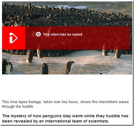 penguin interdependency