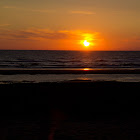 IMG_4844.jpg