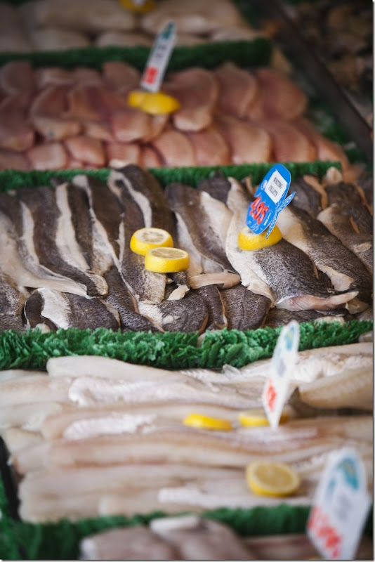 Main Avenue Fish Market-1