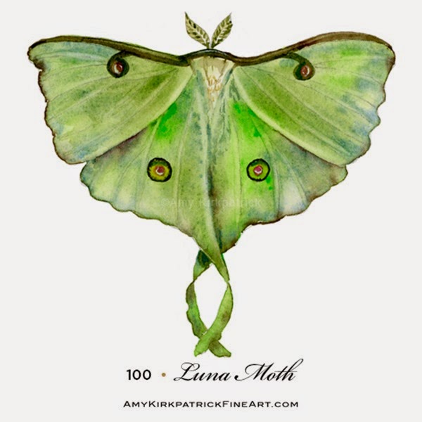 100-Luna-Moth-wt