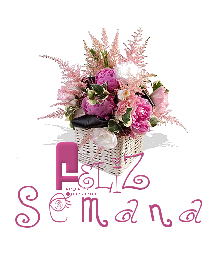 semana2012_rp_amargarida.png