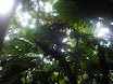 Austr_489_11.11.2007.JPG