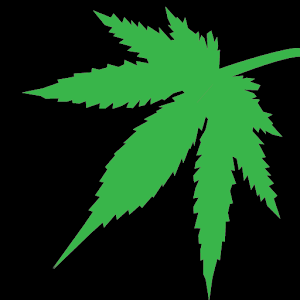 Cannabis Grow Journal