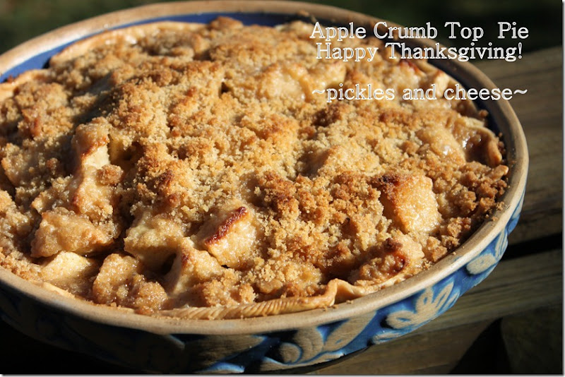 Apple Crumb Top Pie Happy Thanksgiving!