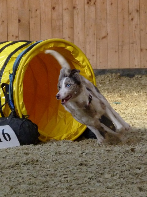 P1020810k.JPG
