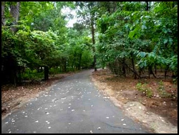 bike-trail