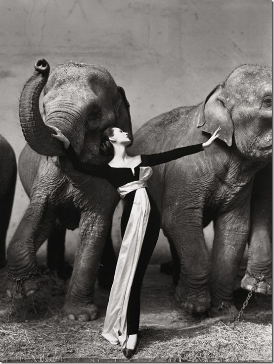 Dovima with elephants, at Cirque D'Hiver, Paris, August, 1955