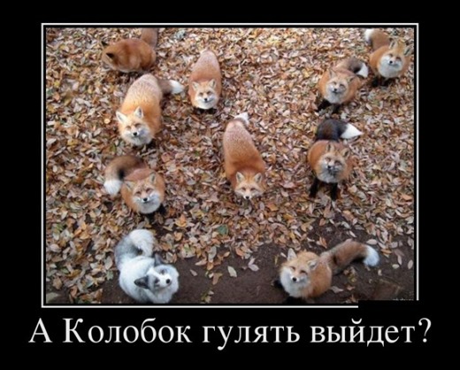 [1350528309_podborka-demotivatorov-29%255B2%255D.jpg]