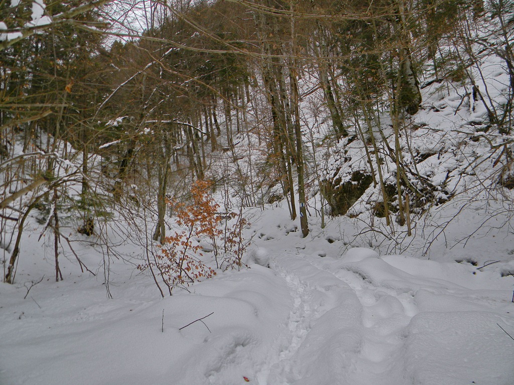 [DSCN35103.jpg]