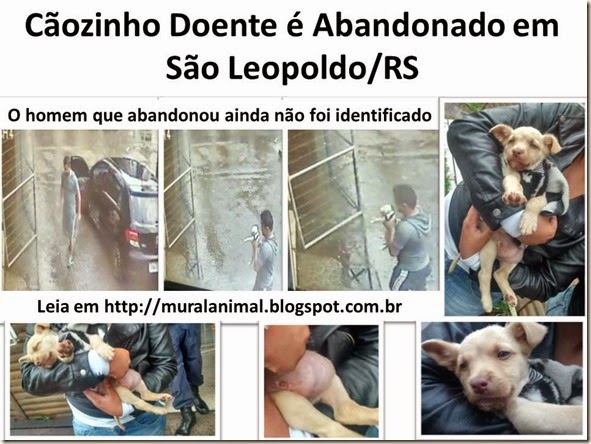 Cãozinho Doente é Abandonado em São Leopoldo
