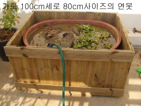 [Gallery2793_6%255B3%255D.jpg]