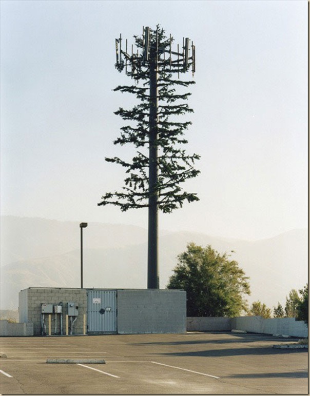 Antennes relais de téléphonie mobile déguisées (18)