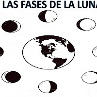 FASES DE LA LUNA.jpg