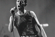 David Bowie