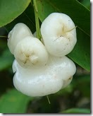 [image%255B60%255D.png]