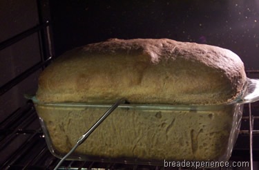[sprouted-wheat-bread%2520033%255B2%255D.jpg]