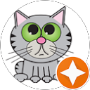 Image Google de Diane DLR-L