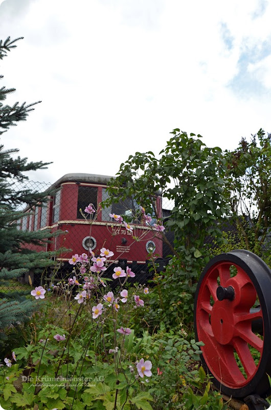 Eisenbahnmuseum Kranichstein (56)