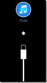 Connessione a iTunes