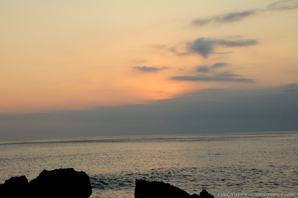 [DPP966%255B3%255D.jpg.webp]
