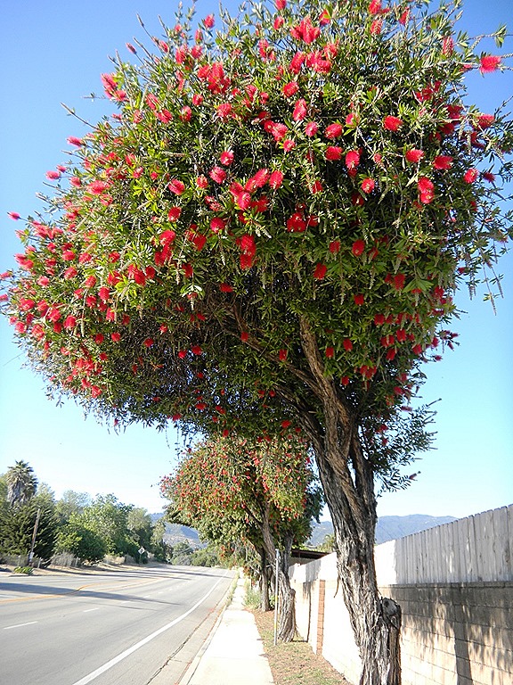 [DSCN3497%2520-%2520Kopie%255B5%255D.jpg]