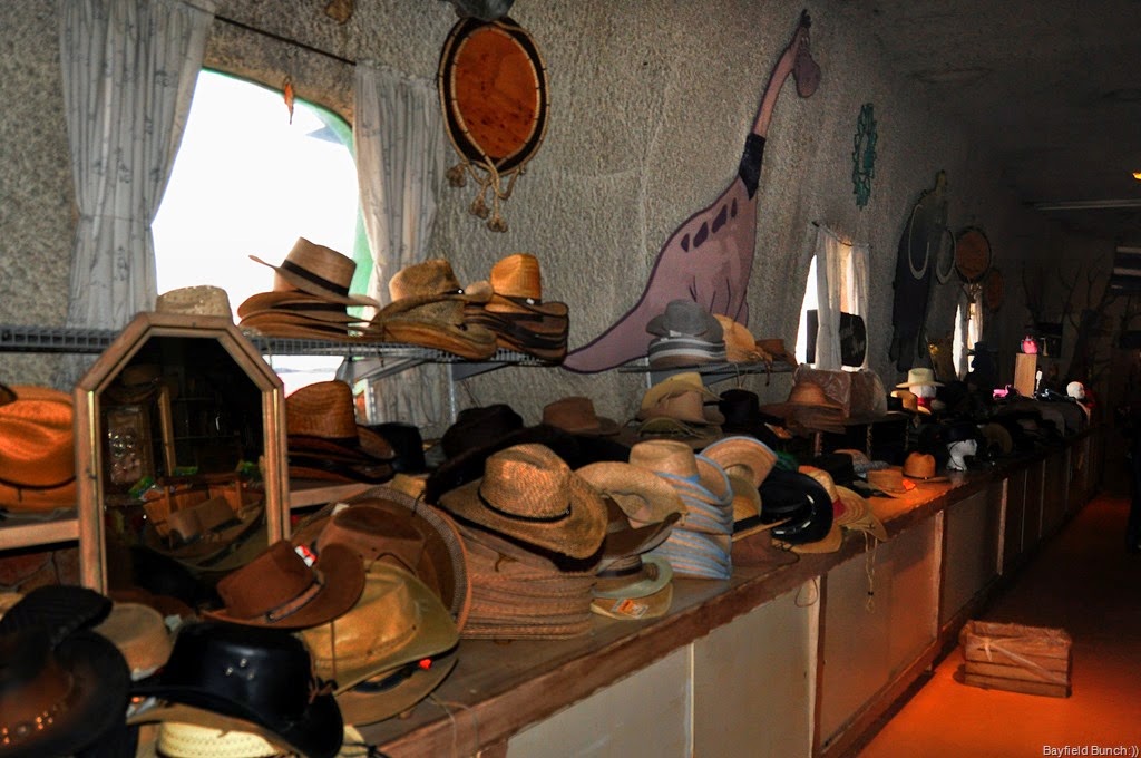 [DSC_0005---Copy3.jpg]