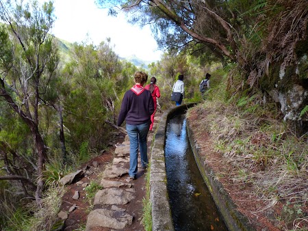 Revelion 2014:  Levadas, apeducte in Madeira