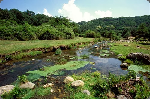 riserva naturale monterano