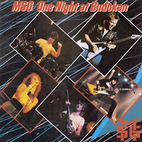 One Night at Budokan