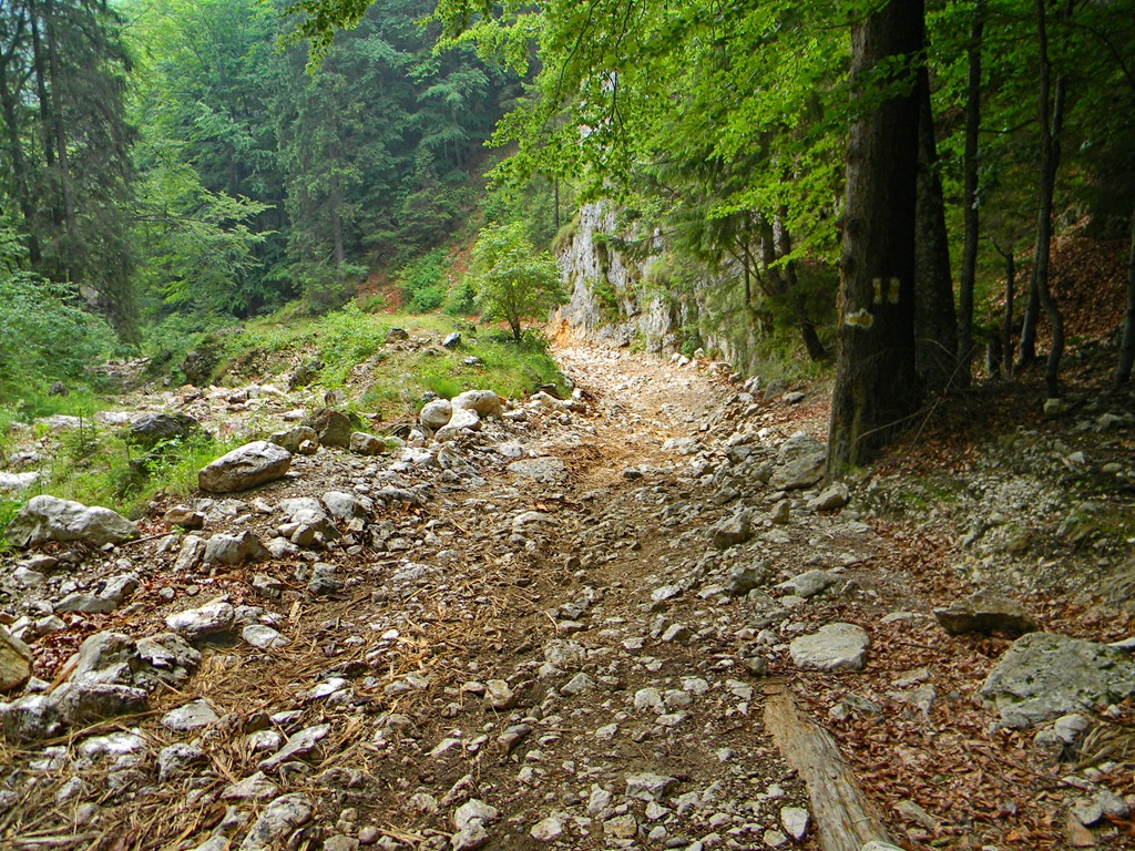 [DSCN29813.jpg]