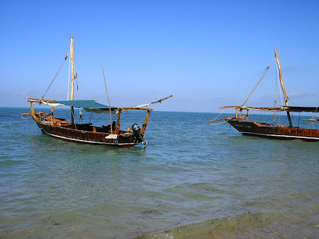 Excursii Zanzibar: Barca de Safari Blue