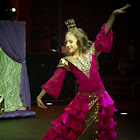 IMG_8715.JPG