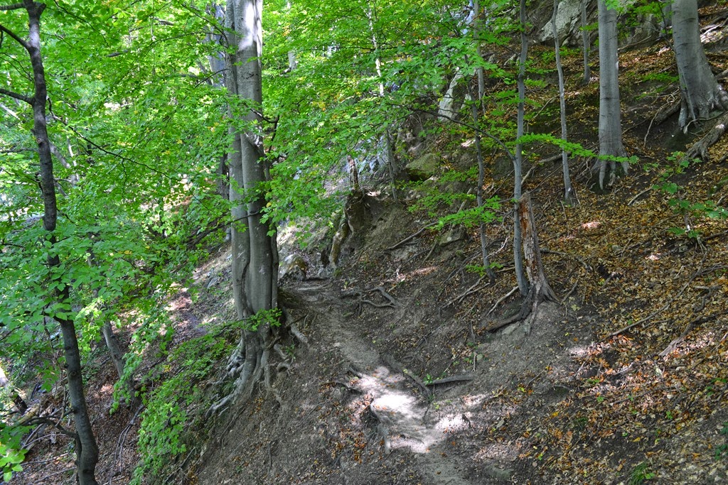 [DSC_00903.jpg]