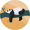 XIAOQI WANG profile picture