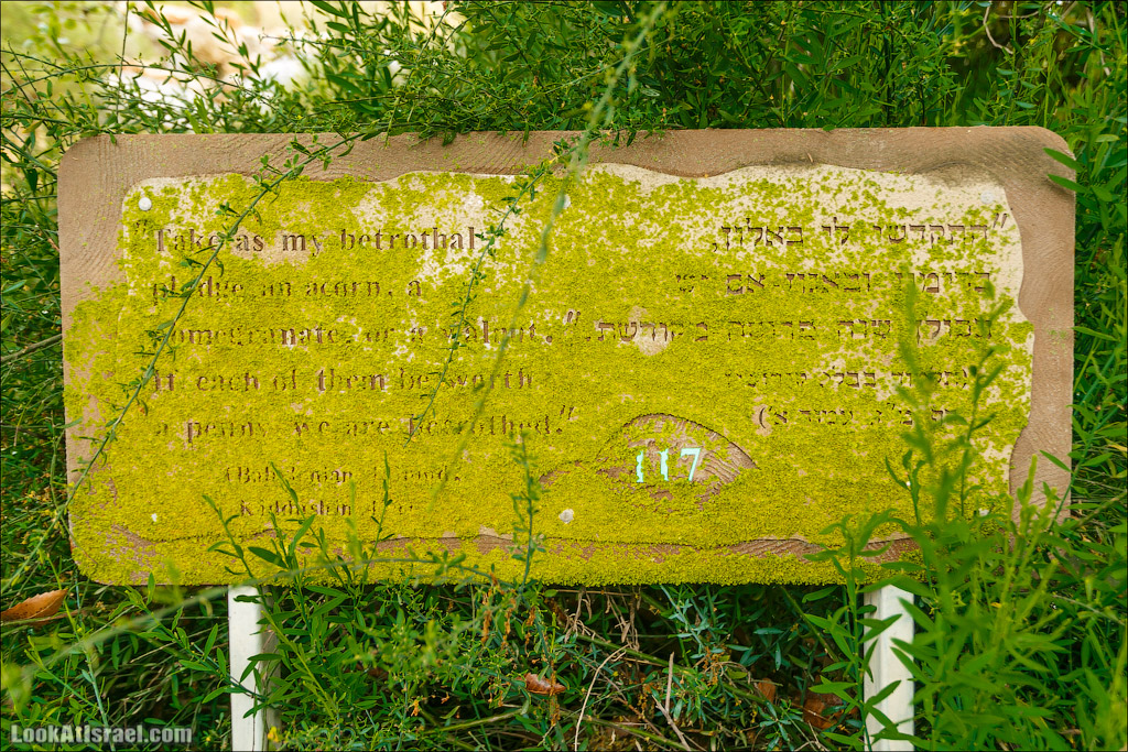 Неот Кдумим - Заповедник библейской природы | נאות קדומים