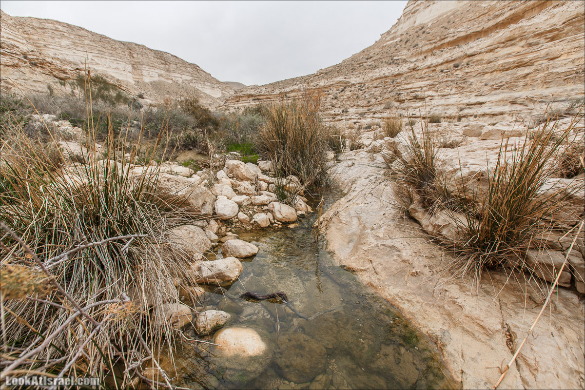 Ручей Акев и источник Эйн Акев в пустыне Негев. LookAtIsrael.com - Фото путешествия по Израилю
