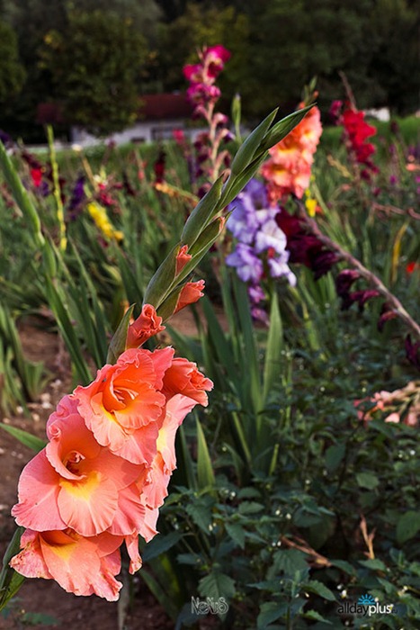 [clip_image003%255B4%255D.jpg]