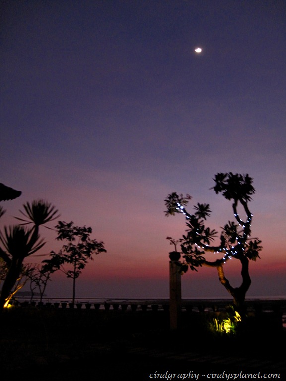 [DPP1092%255B4%255D.jpg.webp]
