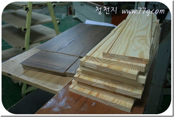 철천지IMG_0818-20110624-165101