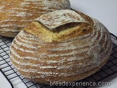 tartine-country-bread 083