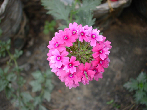 [image%255B72%255D.png]