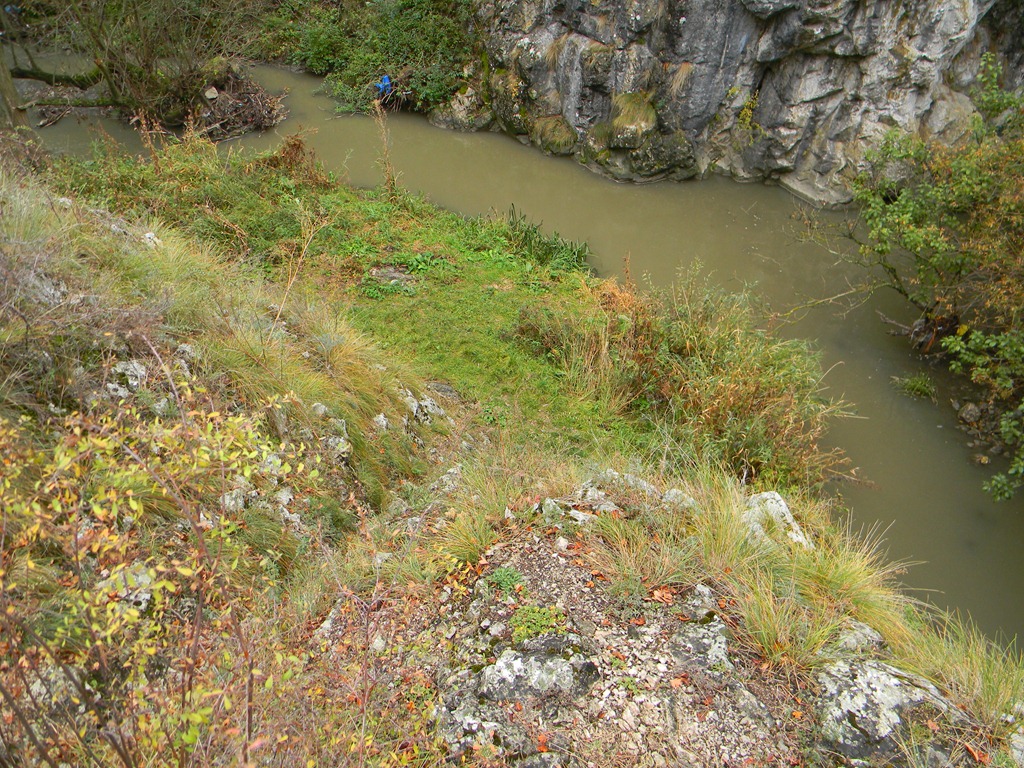 [DSCN41143.jpg]