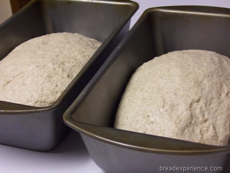 [seven-grain-bread%2520011.jpg]