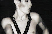 Peter Murphy