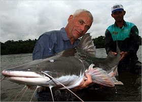 9. Piraiba Catfish
