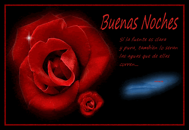 BUENAS NOCHES (8)