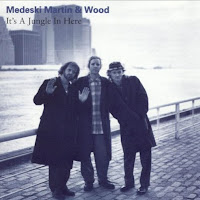 It's a Jungle in Here