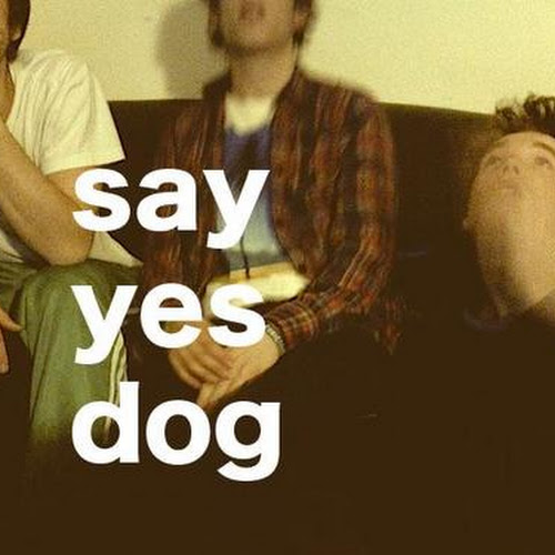 Say Yes Dog