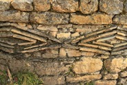IMG_4532 IMG_4532