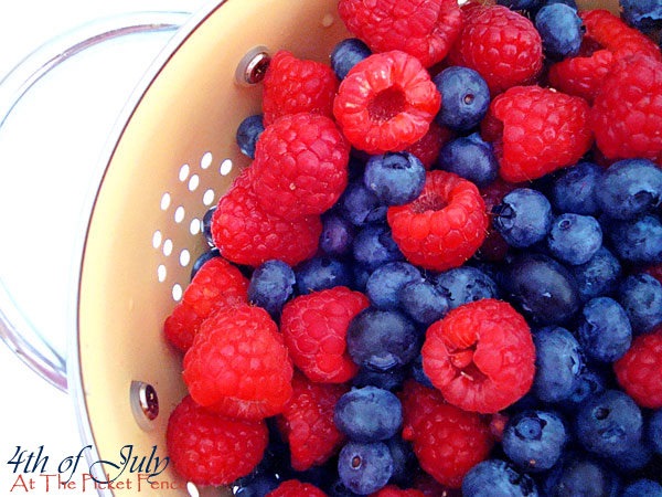 [berries-4th-of-July5.jpg]